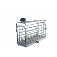 Cân điện tử chuyên cân gia súc/ Cân heo/ Cân bò